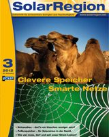 Clevere Speicher, Smarte Netze 2012-03