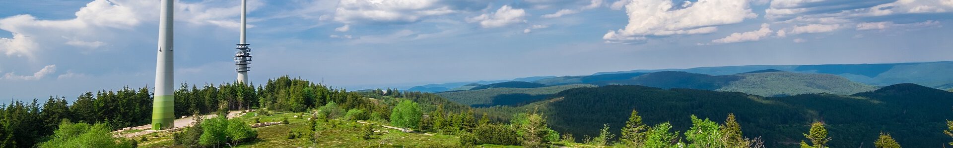 Windenergieprojekte: Wer hat das Ruder in der Hand? Handlungsspielräume und Steuerungsmöglichkeiten der Kommunen