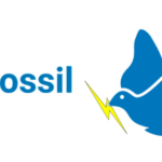 stopfossil