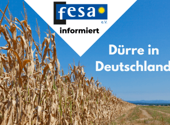 Dürre in Deutschland