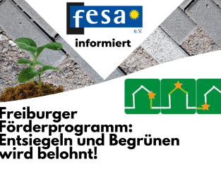 Entsiegeln und Begrünen wird in Freiburg belohnt!