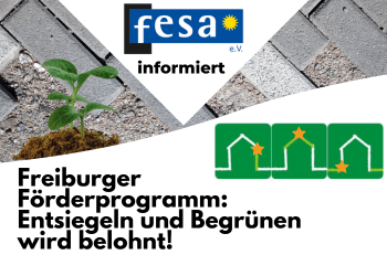 Gebäude Grün Hoch drei Förderprogramm der Stadt Freiburg zu Fassaden- und Dachbegrünung und Ensiegelungg