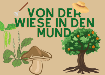 Klimakochkurs: Von der Wiese in den Mund