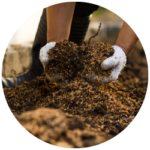 Garten- und Kompostberatung