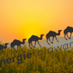 Energiekarawane