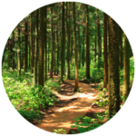 Tageswanderung im Rosskopfgebiet - Wie kann Wald weiterhin das Klima schützen?