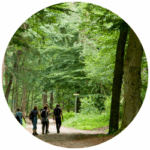 Naturkundlicher Feierabendspaziergang im Dreisamtal
