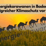Energiekarawane Logo vor sommerabendlich bestrahltem Feld. Slogan Energiekarawane in Baden erfolgreicher Klimaschutz vor Ort