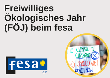🌍 Freiwilliges Ökologisches Jahr (FÖJ) im Klimaschutz