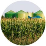 Ökolandbau 2.0 – Mit Biogaserzeugung und Biomassenutzung fit für die Zukunft!