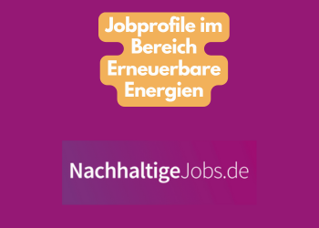 12 Jobprofile im Bereich Erneuerbare Energien