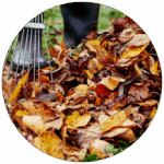 Gartenberatung im Herbst