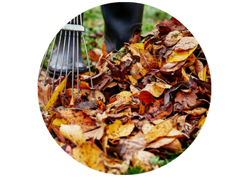Gartenberatung im Herbst