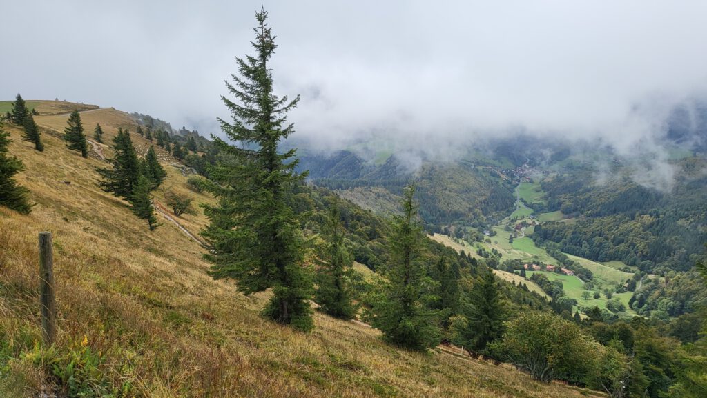 Landschaft im Landkreis Lörrach