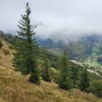 Landschaft im Landkreis Lörrach