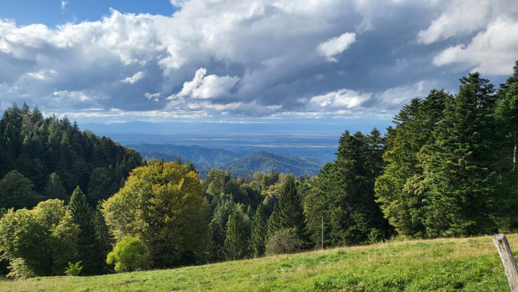 Landschaft im Landkreis Lörrach