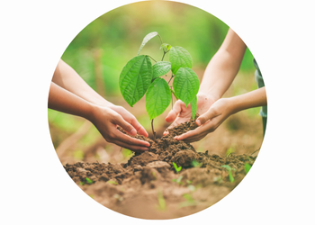 Pflanzaktion im Mooswald