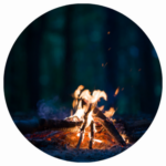 Die Nacht der Umwelt: Gruselgeschichten aus dem Tierreich am Lagerfeuer