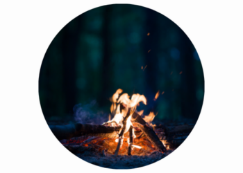 Die Nacht der Umwelt: Gruselgeschichten aus dem Tierreich am Lagerfeuer