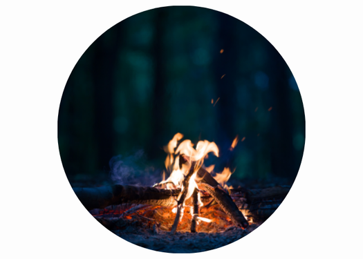 Die Nacht der Umwelt: Gruselgeschichten aus dem Tierreich am Lagerfeuer