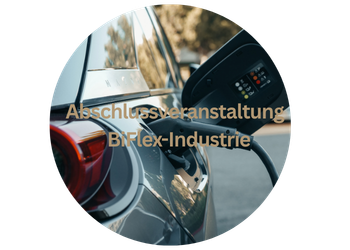 Forschungsprojekt BiFlex-Industrie
